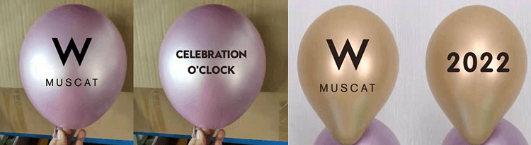 printed metal latex balloon