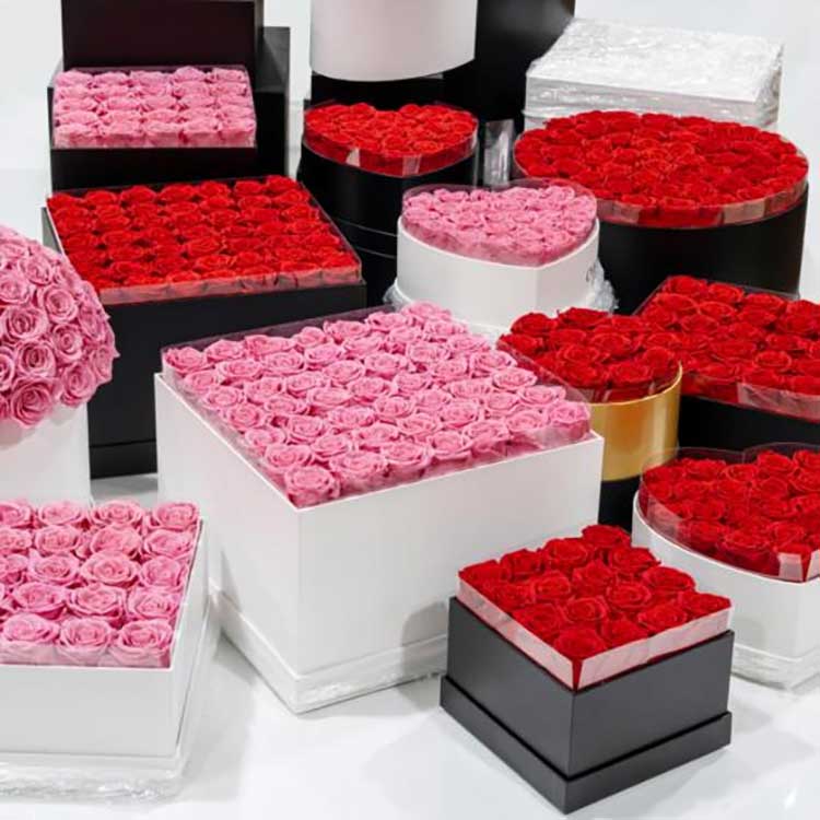 Zachowane wiadro do przytulania kwiatów